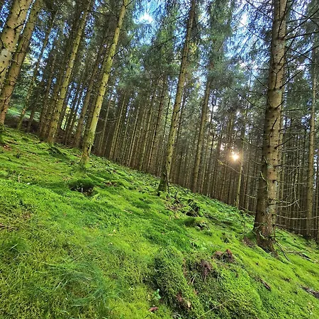 Traumblick Dorfliebe Doernberg Hébergement de vacances